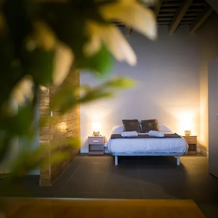Loft La Catedral - Parking Disponible Daire