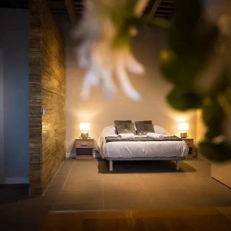 Lägenhet Loft La Catedral - Parking Disponible Jerez de la Frontera